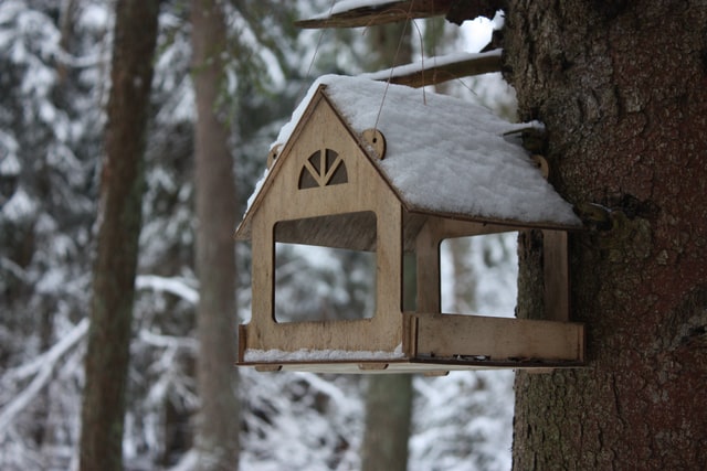 Make Your Own Bird Feeders To Hang In Your Yard