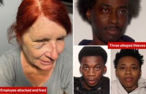 Elderly Lowe’s Worker Fired After Getting Repeatedly Punched in the Face Trying to Stop Thieves | The Gateway Pundit