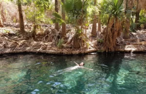 Australian Northern Territory: A Journey from Alice Springs to Darwin