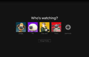 Netflix makes it easier for password crackdown victims to re-home their profile