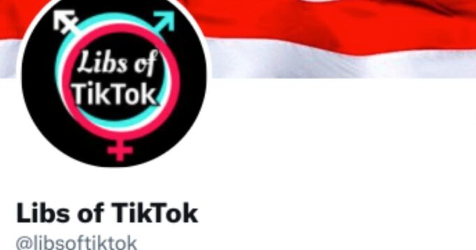 ‘Elon and I Are Actually Dating’ – Libs of TikTok Creator Epically Returns Doxer Taylor Lorenz’s Backspin Serve Amid Feud | The Gateway Pundit | by Johnathan Jones, The Western Journal
