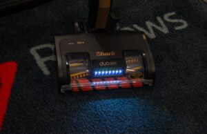 Cleaner house, better for allergies