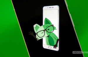 How to transfer your number to Mint Mobile