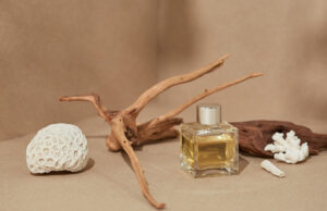 Sandalwood Perfumes To Make You Feel at Ease
