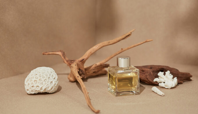 Sandalwood Perfumes To Make You Feel at Ease