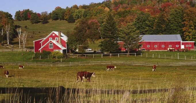 REPORT: Iowa is Now a Solidly Red State | The Gateway Pundit | by Mike LaChance