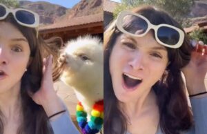 Trans Influencer Dylan Mulvaney Raises Safety Concerns in U.S. Amidst Bud Light Fiasco – Finds Comfort Among Llamas and Spiritual Guidance from Local Shaman in Peru | The Gateway Pundit | by Jim Hoft