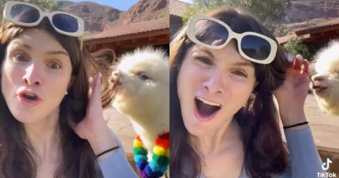 Trans Influencer Dylan Mulvaney Raises Safety Concerns in U.S. Amidst Bud Light Fiasco – Finds Comfort Among Llamas and Spiritual Guidance from Local Shaman in Peru | The Gateway Pundit | by Jim Hoft