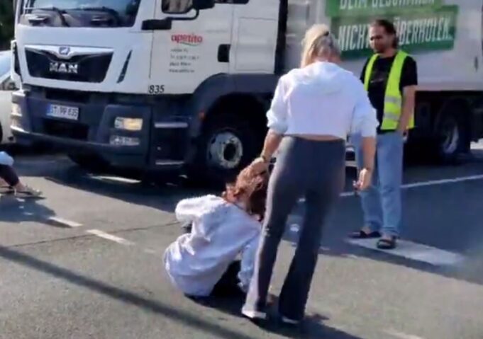 GOING VIRAL: German Woman Drags Global Warming Idiot Off the Road by Her Hair – TWICE! (VIDEO) | The Gateway Pundit