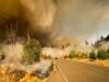 AI Is the New Firefighter: How California Is Using Technology to Prevent Wildfires