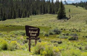 Author Promotes ‘Safe Spaces’ at National Parks for Black People | The Gateway Pundit
