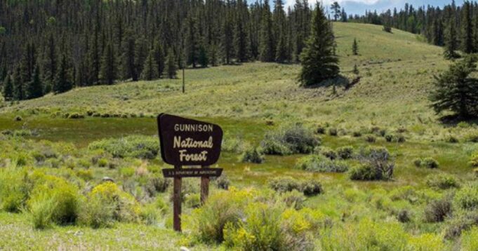 Author Promotes ‘Safe Spaces’ at National Parks for Black People | The Gateway Pundit