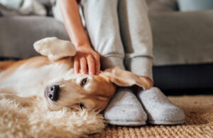 Why Revitalign Orthotic Slippers Are Podiatrist-Beloved