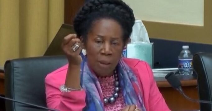 Democrat Rep. Sheila Jackson Lee Calls George Soros an “American and Patriot” (Video) | The Gateway Pundit | by Anthony Scott