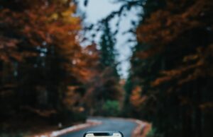 Google Maps Has Competition! Meta, Microsoft, and Amazon Launch Open-Source Mapping Project