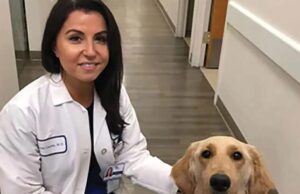 HORROR: Top NYC Cancer Doc Kills Herself and Her 4-Month-Old Baby | The Gateway Pundit