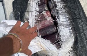 Tampa Mayor Catches 70 Pounds of Cocaine — Worth $1.1 Million — While Fishing With Family | The Gateway Pundit