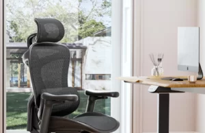 SIHOO Doro-C300 Ergonomic Office Chair | Full Review