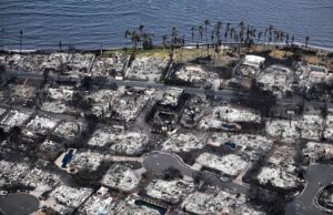 Hawaiian Electric Denies Responsibility for Maui Fires, Claims Power Lines Were Shut Off Hours Before the Wildfire Started | The Gateway Pundit