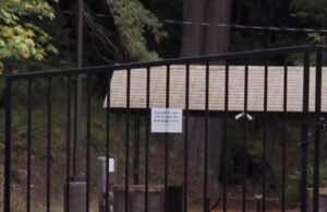 Lawsuit Alleges Employees of Ultra-Secretive Elite ‘Bohemian Grove’ Club Are Overworked and Underpaid | The Gateway Pundit
