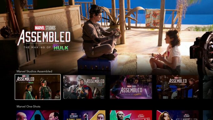 Disney Plus to follow Netflix model for password sharing crackdown