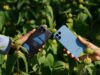 The new Fairphone 5’s software support leaves Apple and Samsung in the dust