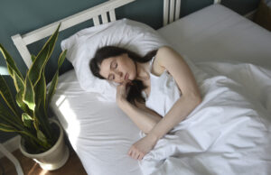 Plants To Benefit Sleep That an Expert Recommends