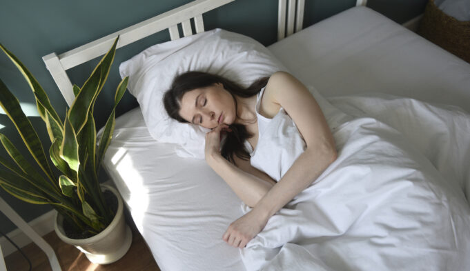 Plants To Benefit Sleep That an Expert Recommends