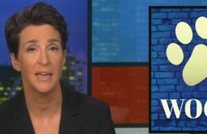Rachel Maddow Crushes Trump’s Ego By Showing His Supporters Not Protesting For Him