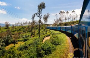 Places to Visit in Nuwara Eliya Beyond Tea Plantations