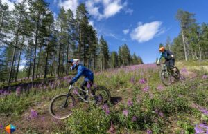 Summer in Lapland: Experience Mountain Biking & Hiking in Finland!