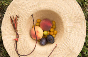 How To Eat More Plants To Diversify Your Gut