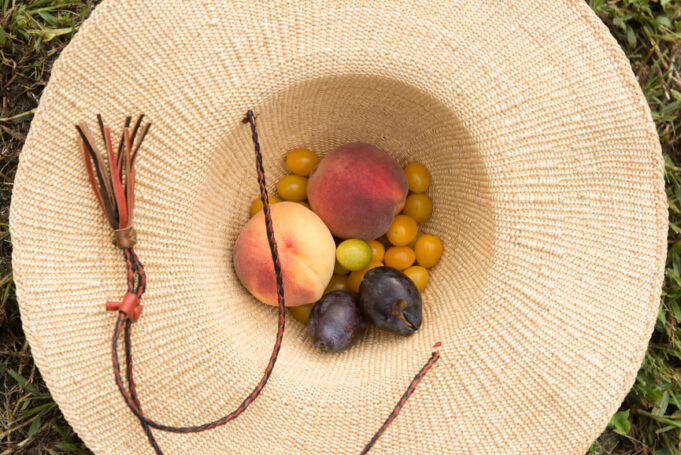 How To Eat More Plants To Diversify Your Gut