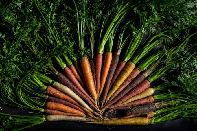 Why Expanding Your Palate Can Boost Longevity