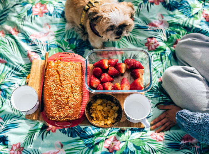 5 Food Safety Tips an Expert Wants You To Know