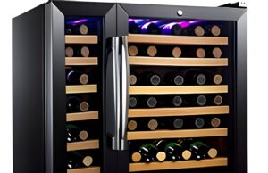 Best Wine Coolers and Fridges of 2023