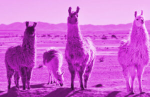 10X coders beware: Meta’s new AI model boosts coding and debugging for free