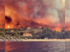 Greece Arrests Almost 80 “Arsonist Scums” as EU’s Largest-Ever Wildfires Rage Across the Country (VIDEO) | The Gateway Pundit