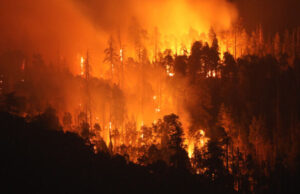 California deploys AI-powered wildfire detection systems