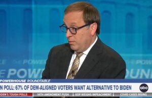 ABC’s Jon Karl Slams Bidenomics, Admits Majority of Democrats Don’t Want Joe Biden in 2024 (VIDEO) | The Gateway Pundit