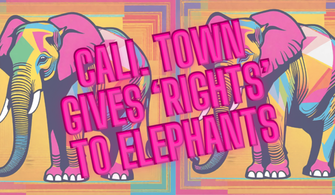 You Can’t Make This Up: California Town to Recognize “Animal Rights” Starting with Elephants | The Gateway Pundit