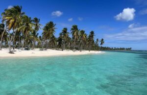 Saona Island: A Paradise Unveiled – Discovering the Hidden Gems
