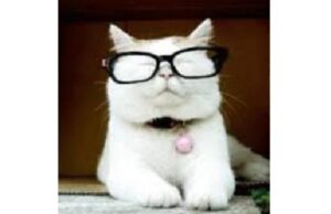 Popular Pro-Trump Influencer Catturd Swatted During His Podcast | The Gateway Pundit