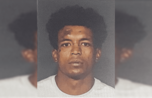 Welcome to America: In First Two Months in NYC, Illegal Arrested at Least 6 Times for 14 Crimes | The Gateway Pundit