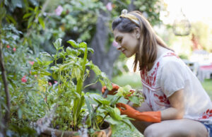 How Companion Planting Can Benefit Your Garden