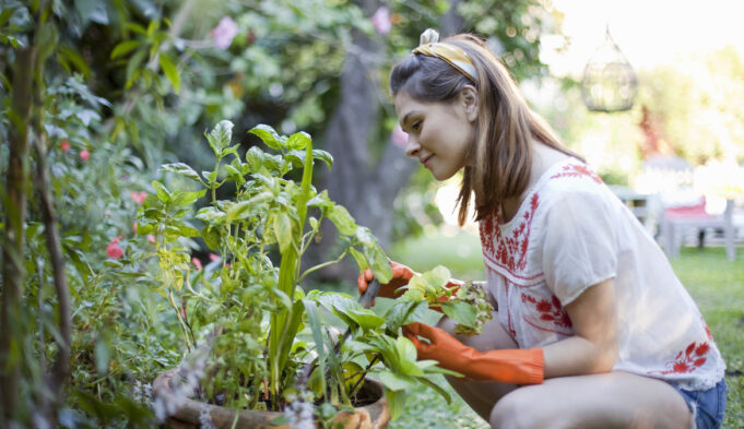 How Companion Planting Can Benefit Your Garden