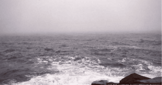 U.S. Offshore Wind Plans Are Utterly Collapsing | The Gateway Pundit