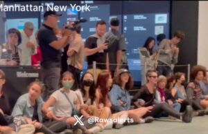 DEVELOPING: Dozens of Anti-Capitalist Climate Agitators Shut Down NYC Museum of Art and Make Outrageous Demands (VIDEO) | The Gateway Pundit