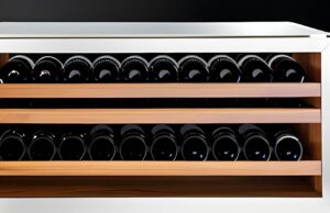 Best Wine Fridge for Pinot Noir Bottles in 2023