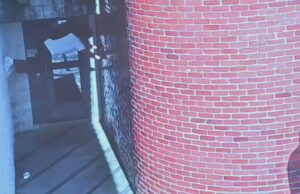 Manhunt Still Underway For “Extremely Dangerous” Illegal Alien Fugitive That Escaped Pennsylvania Prison by Scaling Wall (VIDEO) | The Gateway Pundit